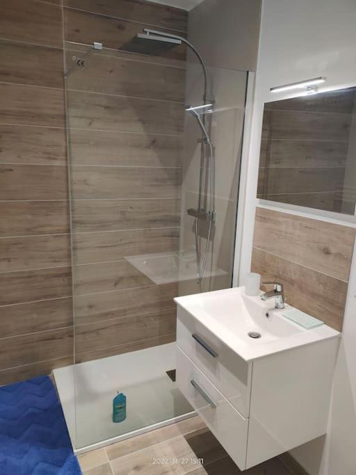 Logement Complet A Villeurbanne Eksteriør billede